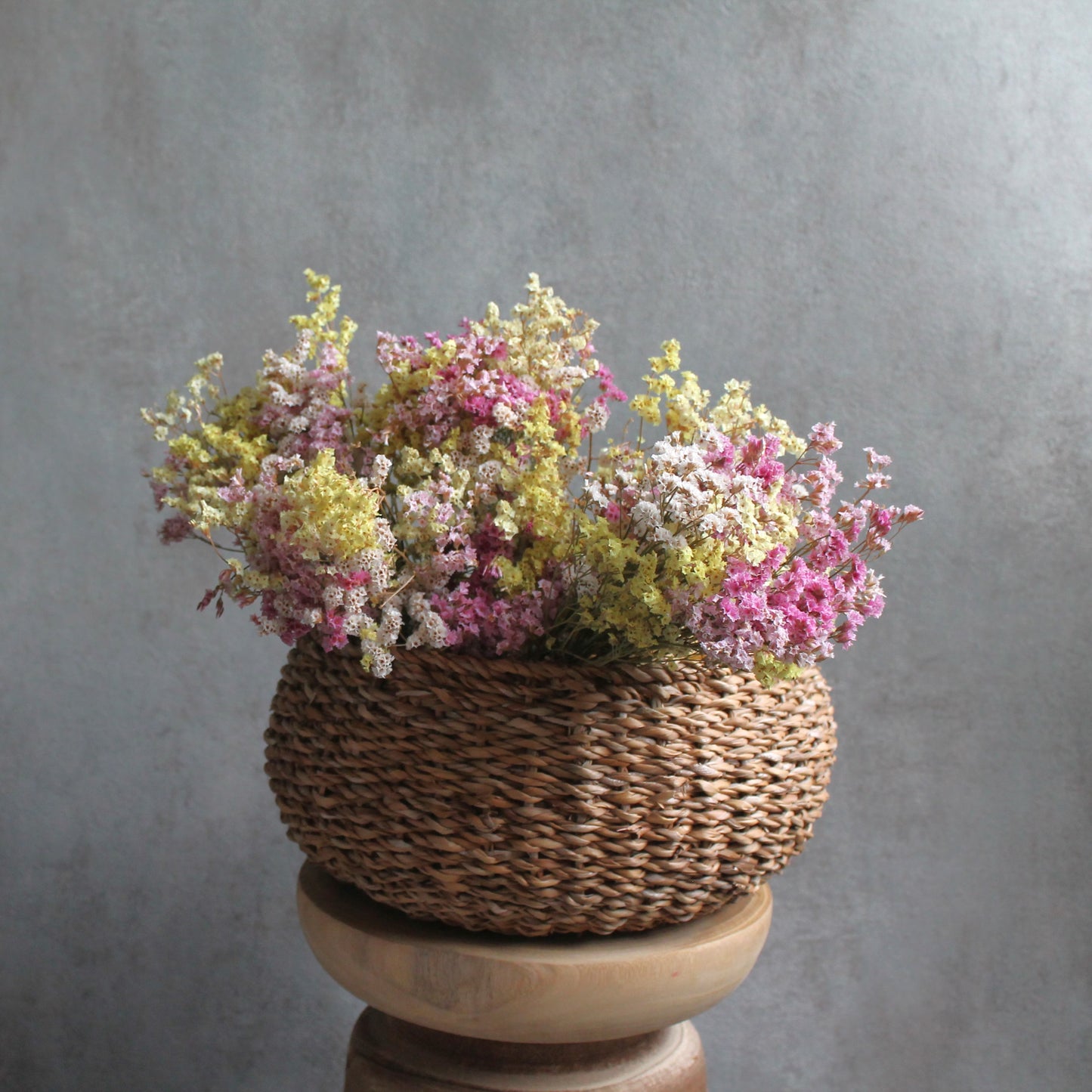 Limonium Mix