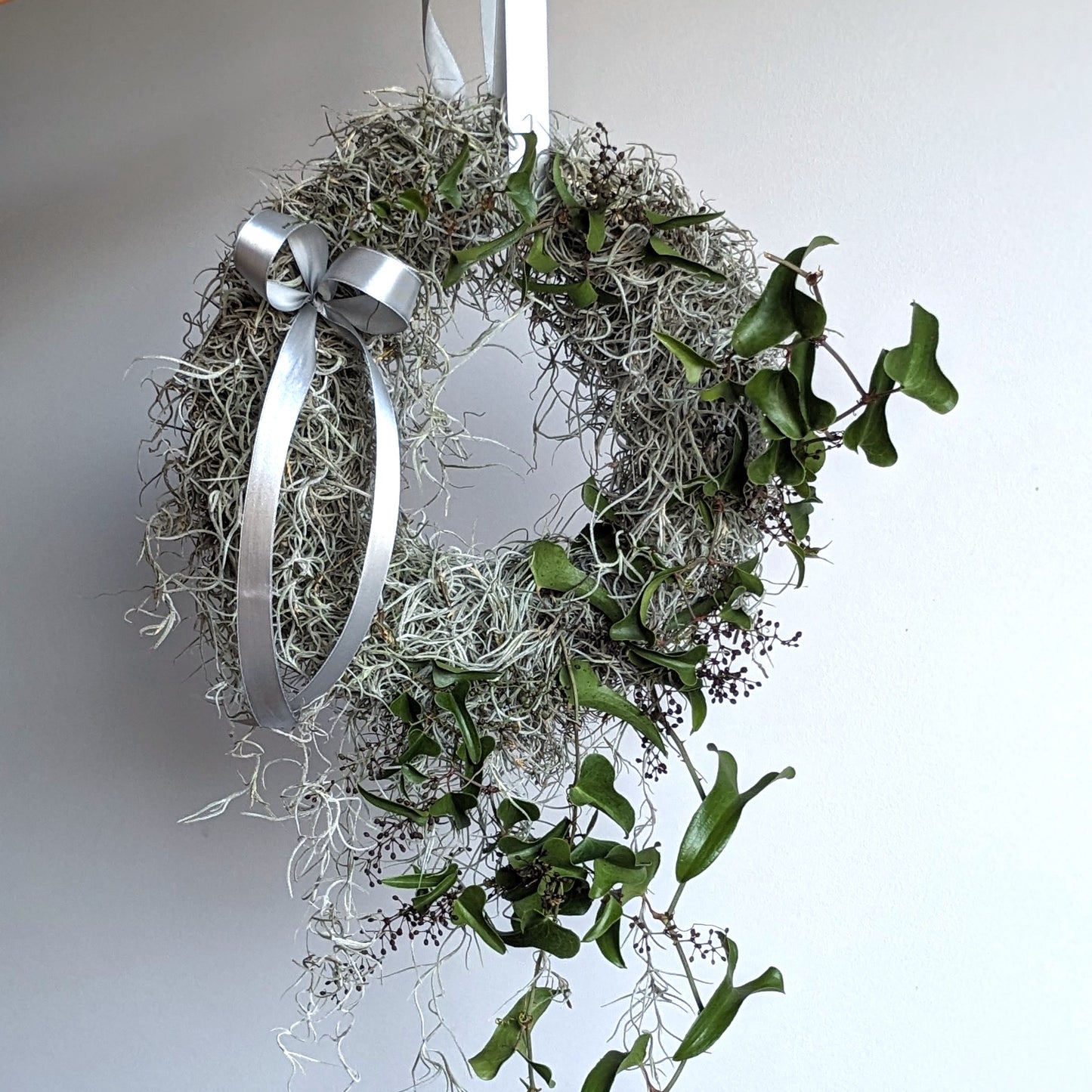 Coroa Musgo Espanhol