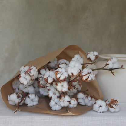 Cotton Flowers