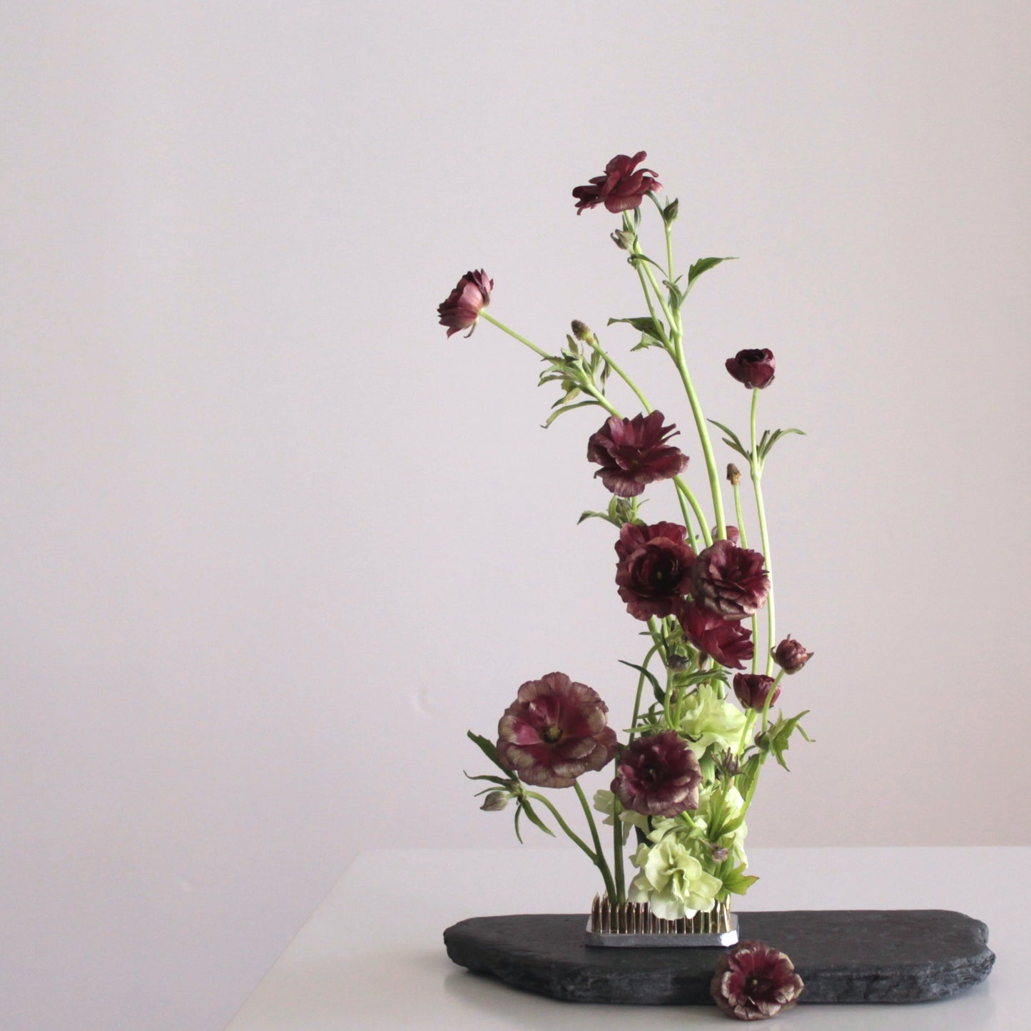 Pica Flores - Quadrado