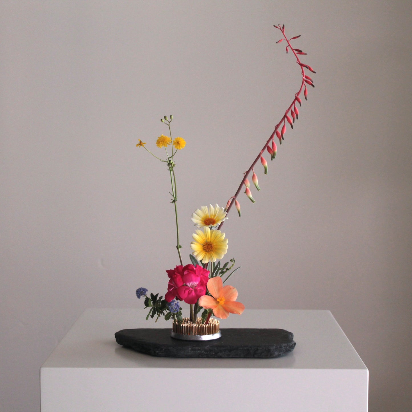 Pica Flores Kenzan - Redondo