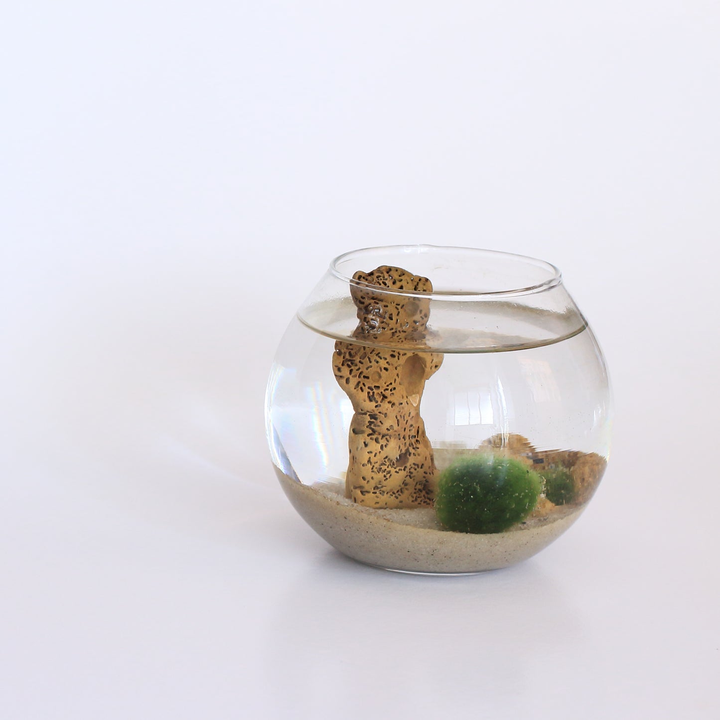 Marimo