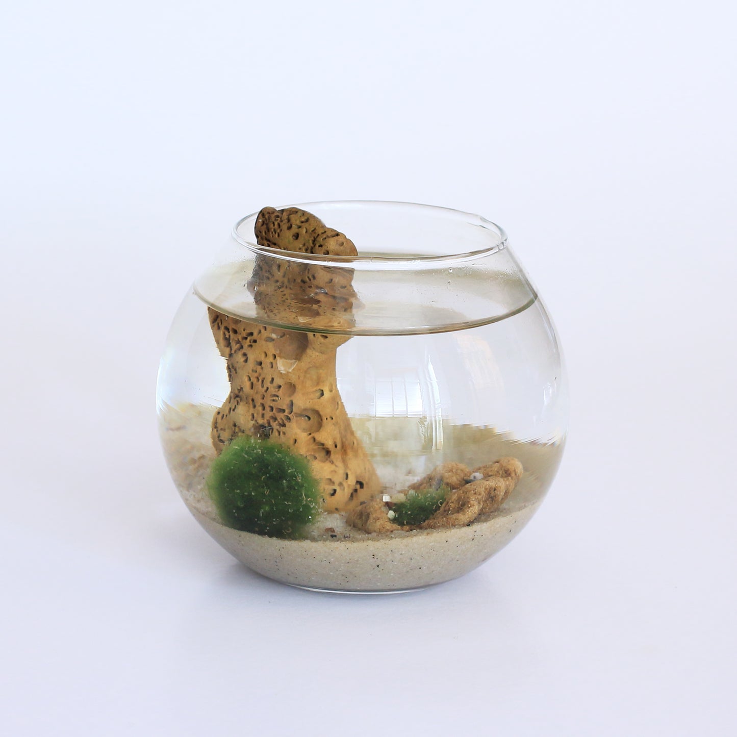 Marimo